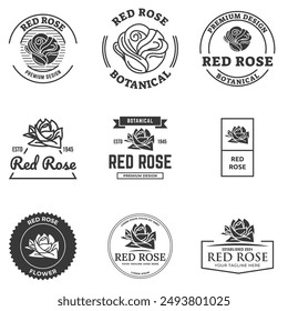 Set of Rose flower logo design illustration