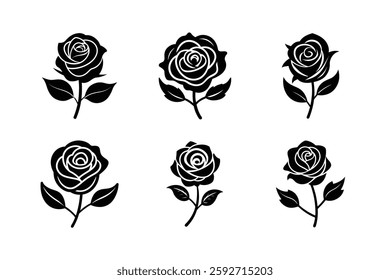 Set of  Rose flower vector illustration.