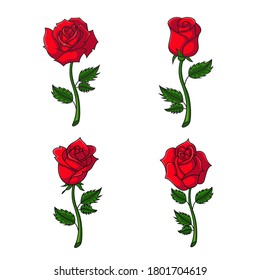 Set of rose flowers design vector illustration.
