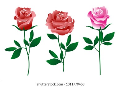 Set of rose flowers of different shapes