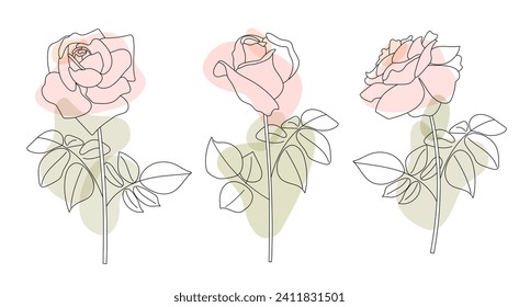 Set of rose flowers with leaves and steams in outline style with abstract pink organic shapes. Botanical vector illustration. Minimalist hand drawn sketch.