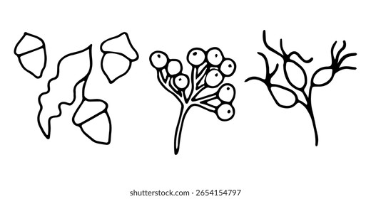 Conjunto de rosas, bagas de rowan, nozes de bolota. Gráficos simples em preto, desenhados à mão em estilo doodle. Ilustração vetorial dos elementos outonais da natureza. Desenho de esboço para Ação de Graças, cartões, convites.