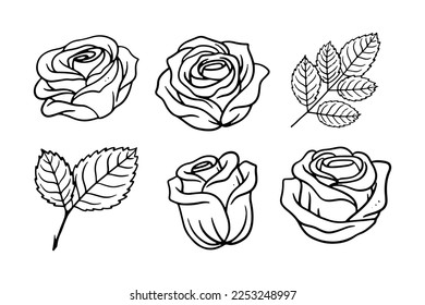 set of rose illustration for retro design ornament