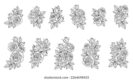 Conjunto de ornamentos de rosa vectorial por dibujo a mano. Hermosa flor sobre fondo blanco. Memoria de puesta de sol sobre el arte vectorial de rosa altamente detallado en el estilo de arte en línea. Tatuaje de flor para pintura o patrón.