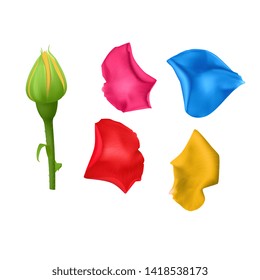 Set rose petals bright different colors, close-up on a white background can be used for design of romantic greetings. Vector EPS 10 illustration