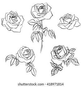 Set Rose Sketch. Black Outline On White Background. Vector Illustration.