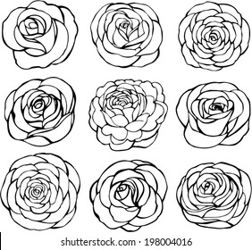 Set of rose vector on white background
