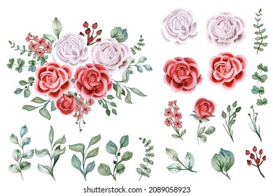 Set Of Rose Watercolor Isolated Flower Object