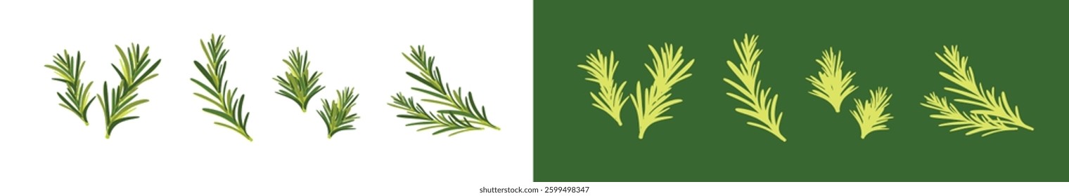 Set of rosemary branches flat vector isolated on white background. illustration of evergreen plant with fragrant leaves. Culinary ingredient in traditional mediterranean cuisine, food seasoning