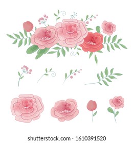 Set of roses and bouquets, watercolor vector
