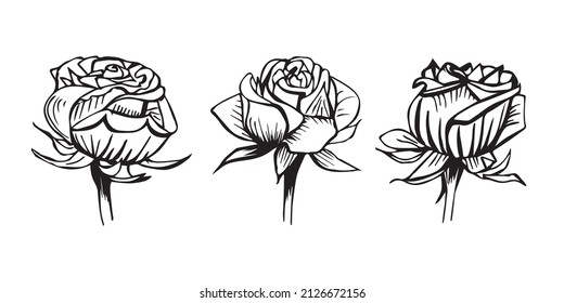 Set of roses, cute blossoming flowers. Black and white vector illustration, outline, sketch, floral and botanical design