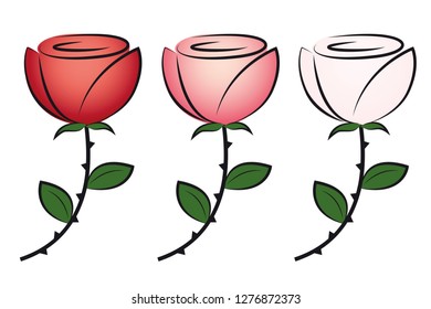 set of roses in different colors on white background vector illustration EPS10
