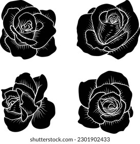 A set of roses. Each rose flower in a vintage woodcut engraving illustration style.