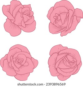 Un ensemble de roses. Chaque fleur de rose présente un style d'illustration de gravure de bois vintage.