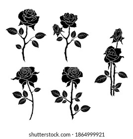 Set roses flowers isolated on white background. Wild flowers roses isolated.Mix flower vector for design.