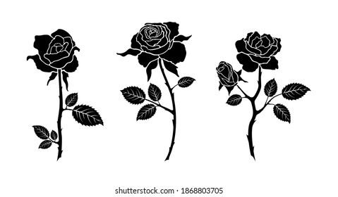 Set roses flowers isolated on white background. Wild flowers roses isolated.