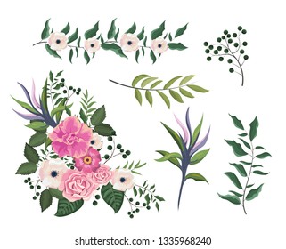 set roses and flowers plants with branches leaves set roses and flowers plants with branches leaves