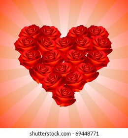 Set of roses forming a heart shape as a gift of Valentine's Day