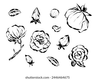 Set of roses isolated line art doodle with leaf element, vector flower design drawn with ink. Floristry, flowers, flowers of love.