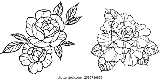 Set of roses with leaves vector illustration 
