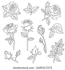 Ilustración vectorial de dibujo de línea de rosas