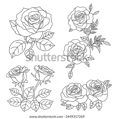 Set of roses line drawing vector illustration
