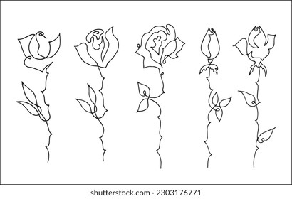 Set of roses outline. Vector vegetal botanical decorative elements in black and white, contours and different forms and silhouettes of roses, one line painting.