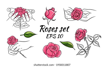 Set of roses. Pink roses. Collection of vector illustrations with flowers. Buds, leaves, roses in hands.