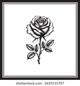 Rosen Silhouetten und Silhouetten von Rosen
