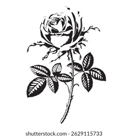 Set of roses silhouettes and Silhouettes of roses
