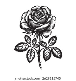 Conjunto de silhuetas de rosas e Silhuetas de rosas
