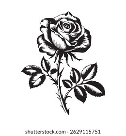 Conjunto de silhuetas de rosas e Silhuetas de rosas
