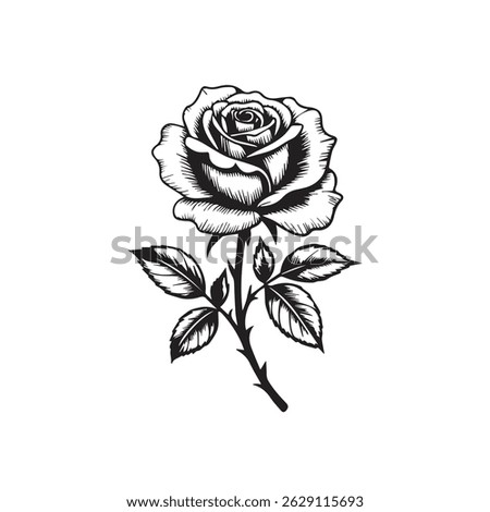 Set of roses silhouettes and Silhouettes of roses
