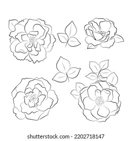 Set of roses. Simple silhouette of flowers with black line on white background.