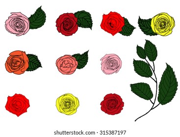 Set roses. Vector illustration