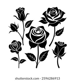 set of roses vector illustration, set of roses, set of roses black silhouette