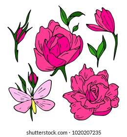 Set of roses vector illustration. Doodle style. Design, print, decor, textile, paper