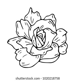 Set of roses vector illustration. Doodle style. Design, print, decor, textile, paper