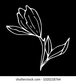 Set of roses vector illustration. Doodle style. Design, print, decor, textile, paper