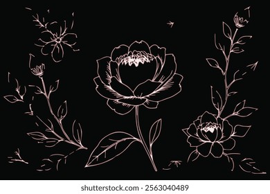 Set of roses vector illustration. Doodle style. Design, print, décor, textile, paper
