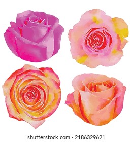 Satz von Rosen, Vektorgrafik. Rosen auf weißem Hintergrund. Vintage Blumen Clip Kunst. Retro Blumen handgezeichnet. Die Dekoration im Aquarell. Wasserfarbe. Videokunst für Logo, Grußkarten und Design.