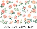 set of roses watercolor illustration. hand drawn, isolated white background, flower clipart, for bouquets, wreaths, arrangements, wedding invitations, anniversary, birthday, postcards, greetings,cards