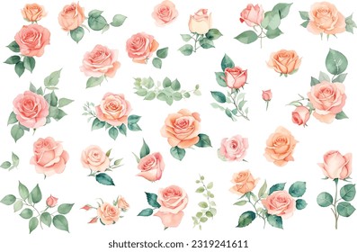 set of roses watercolor illustration. hand drawn, isolated white background, flower clipart, for bouquets, wreaths, arrangements, wedding invitations, anniversary, birthday, postcards, greetings,cards