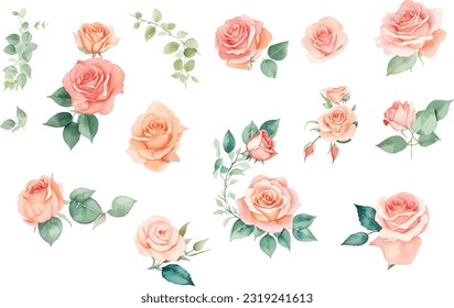 set of roses watercolor illustration. hand drawn, isolated white background, flower clipart, for bouquets, wreaths, arrangements, wedding invitations, anniversary, birthday, postcards, greetings,cards