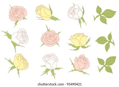 Set of roses.Design elements.Isolated on white background.
