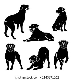 Set of Rottweiler dog silhouettes - isolated vector illustration