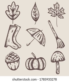 set of rough sketch autumn objects lineart style doodle
