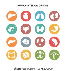 Set of round colored icons of human internal organs in flat style over white background. Vector illustration