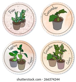 Set of round craft paper labels: potted seedlings of garden plants with names. Eggplant, celery, cucumber, peas and bell pepper.  Vector design.