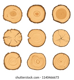 Set of round cross-sections of a tree with a different ring pattern isolated on a white background. Vector modern illustration